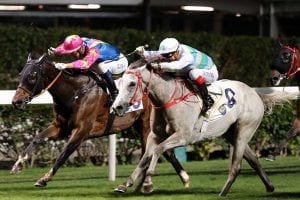 Van Niekerk in Full Bloom at Happy Valley