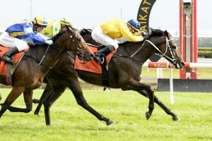 Ugo Foscolo returns to winning form at Te Rapa