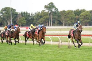 Uncle Bryn impresses at Sale's inaugural Good Friday horse race meeting