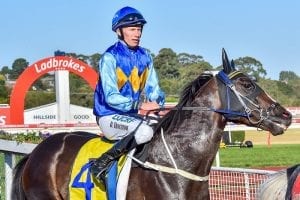 Villa Sarchi ready for Caulfield assault