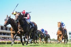 Lord of the Sky winning the G3 Standish