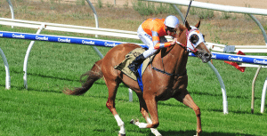 Burning Front wins at Wangaratta feature