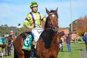 Mr Sinatra in the mix at Ballarat