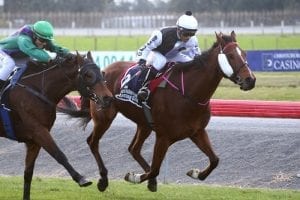 Boys get paid winning dividend at Ashburton