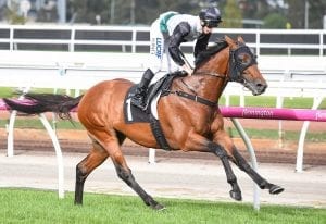 Boom Time streets rivals in Flemington win