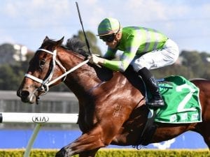 Savigne improves Queensland Oaks ranking