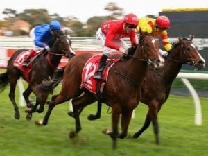 Missile Mantra too classy in Caulfield win