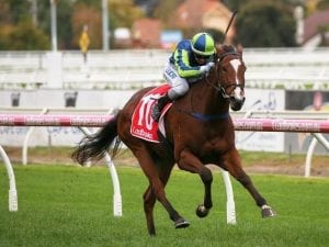 Bam's On Fire beats Propelle at Caulfield