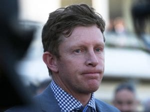 Algadon Miss to step up at Caulfield