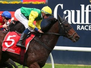 Caulfield class rise for William Thomas