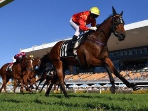 Winter Bride a showstopper in Doomben win