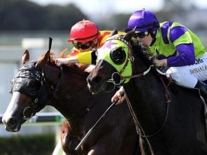 Heavenly Thought firms for G1 Qld Derby