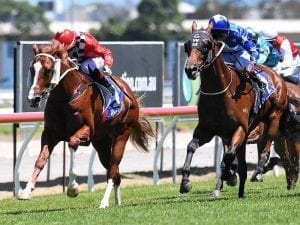 Qld Guineas preferred for Mishani Bullitt