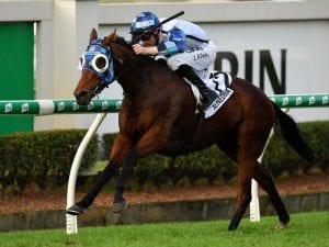 Kenedna to continue mares' good run