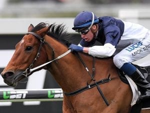 Pedreana claims G3 Glenlogan Park Stakes