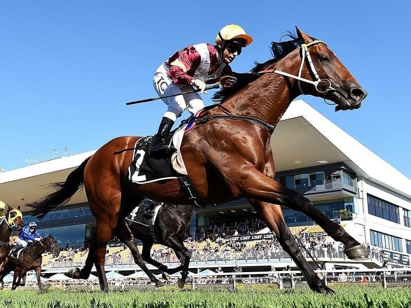 Perast wins at Doomben.