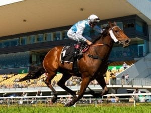 River Racer heads south after Doomben win