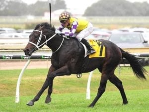 Chris Waller provides BRC Sires' quinella