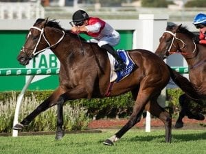 Steve Tregea trio to tackle Doomben