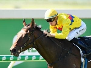 Bad habit can't stop Vega One at Doomben