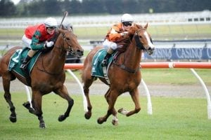 Ground to suit mare’s home track bid