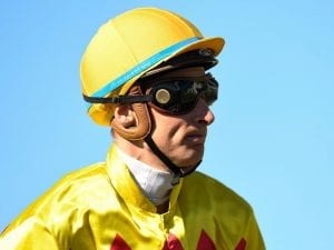 Shinn to continue great run at Eagle Farm