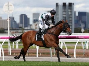 Boom Time ready to strike at Flemington