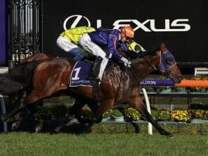 Declares War wins at last for Matt Cumani