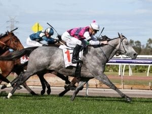 Flemington win gives Fidelia four in a row