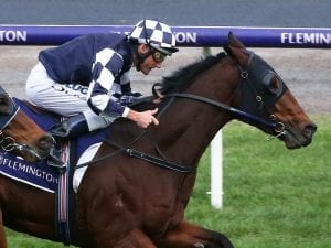 Order Of Command wins again at Flemington