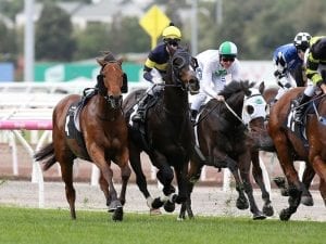 Lindsay Park doubles up in Andrew Ramsden