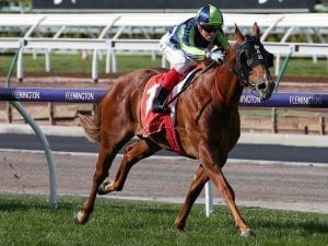 Sebrakate returns with easy Flemington win