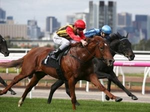 Two in a row for Vassilator at Flemington