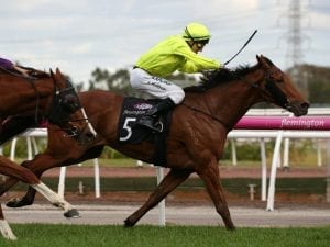 Sin To Win outstays Andrew Ramsden rivals