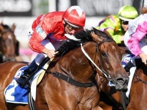 Group One winner Secret Agenda retired