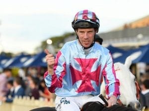 John Allen to appeal Doomben suspension