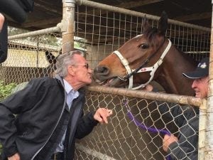 Harness Jewels horses to be tested