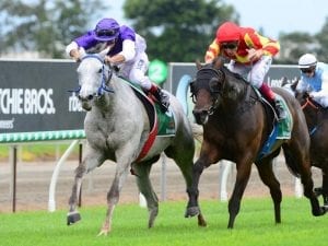 The Candy Man to return to Brisbane