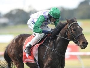 Richard Cully to put trainer's hat on