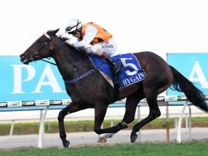 Step up in trip looms for in-form Anatola