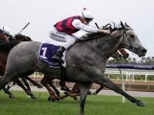 Time right for Fidelia at Flemington mile