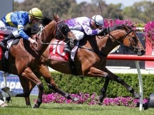 McEvoy with two chances in G1 Goodwood