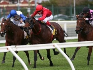 Iconoclasm in top order ahead of Goodwood