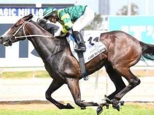 McDonald to ride in Group One race