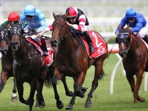 Missrock sells for $2.3m at broodmare sale