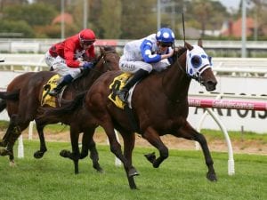 Mr Quickie right for Queensland Derby tilt