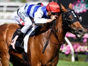 Redkirk Warrior in good form at Flemington