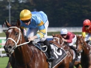 Reloaded to run at Randwick before Atkins