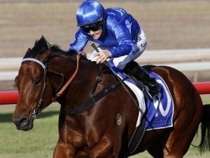 Few surprises in 1st Stradbroke acceptors