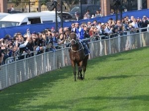 Winx to be honoured with stand at Randwick